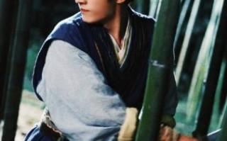 非物质文化遗产张无忌（张无忌是非物质文化遗产吗）