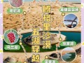 沙湖 非物质文化遗产（沙湖非遗旅游路线怎么走）