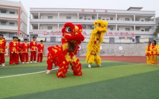 新田非物质文化遗产（新田非物质文化遗产有哪些）