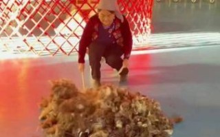 毡子非物质文化遗产（毡子非遗如何传承技艺）