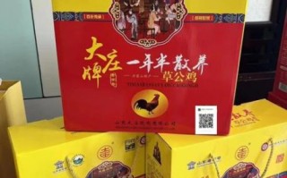 非物质文化遗产大庄烧鸡（大庄烧鸡是哪里的非遗美食）