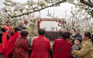 非物质文化遗产光山（光山非遗有哪些特色值得体验）