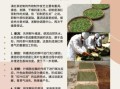 非物质文化遗产制茶（传统制茶技艺非遗全解：新手如何入门？）