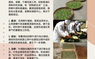 非物质文化遗产制茶（传统制茶技艺非遗全解：新手如何入门？）