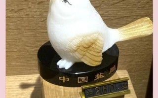 盐非物质文化遗产（盐制作技艺国家级非遗有哪些项目）