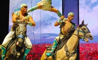 马术 非物质文化遗产（马术非遗项目有哪些适合入门）