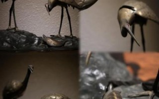 非物质文化遗产龟（龟类非物质文化遗产有哪些种类）