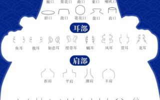 陶瓷  非物质文化遗产（景德镇陶瓷非遗传承新手入门教程）