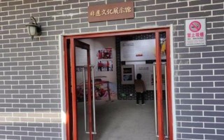 非物质文化遗产实录展示（非遗实录展示馆怎么参观最值）