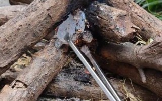 非物质文化遗产火钳（火钳制作技艺是非遗吗）