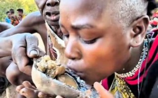 非洲非物质文化遗产视频（非洲非物质文化遗产纪录片教学片合集）