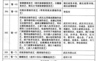 非物质文化遗产调研团（高校非遗调研团申请攻略）