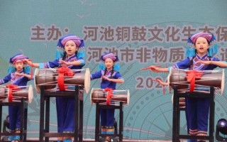 河池非物质文化遗产表演（河池非遗表演有哪些适合新手入门）