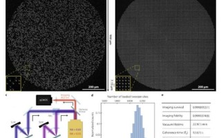 光镊技术用于量子计算机（光镊技术量子计算初学者教程）