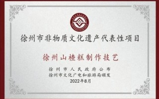 徐州市非物质文化遗产网（徐州市非遗保护中心官网入口）