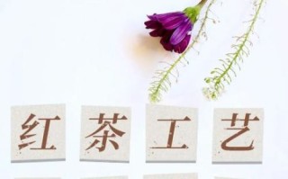 红茶非物质文化遗产（红茶制作技艺非遗传承流程）