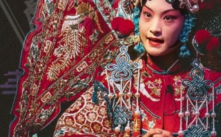 非物质文化遗产戏曲（初学者如何看懂非物质文化遗产戏曲）