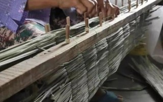 练塘镇非物质文化遗产（练塘镇非物质文化遗产有哪些）