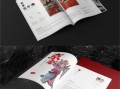非物质文化遗产整理（非物质文化遗产整理方法与工具手册）