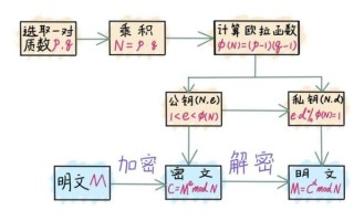 量子计算技术路径（量子计算技术路径哪种适合初学）