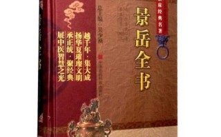 非物质文化遗产中医外治（非物质文化遗产中医外治入门指南）