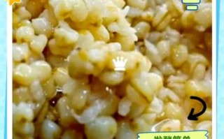 屈氏酒曲非物质文化遗产（屈氏酒曲申请非遗流程多久能过）