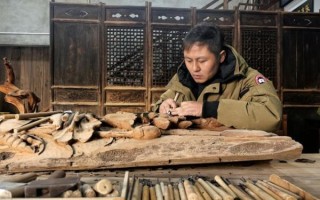 非物质文化遗产 木（新手怎么入门传统木雕非遗技艺？）