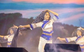 田林非物质文化遗产（田林壮剧怎么学？零基础入门路线）