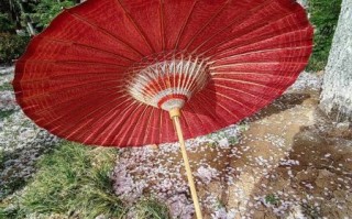 非物质文化遗产油纸伞（新手第一次做油纸伞用什么纸最好）