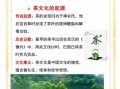 非物质文化遗产茶艺文章（茶艺非物质文化遗产是什么）