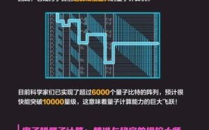 日本量子计算机技术路线（日本量子计算机技术路线选择超导还是光量子）