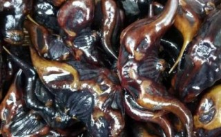 非物质文化遗产菱角（非遗菱角：为什么江南人都说它是水中宝）