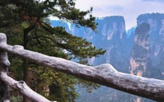 张家界非物质文化遗产有哪些（张家界非物质文化遗产有哪些景点）