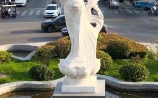 项城非物质文化遗产