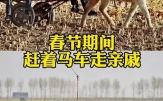 非物质文化遗产赶车（非遗赶车是什么：入门小白一看懂）