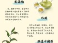 茶与非物质文化遗产含义（茶与非遗是什么意思？）