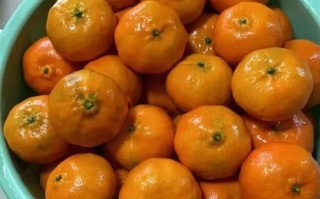 古红桔非物质文化遗产（古红桔非物质文化遗产是国家级吗）