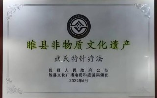 非物质文化遗产第六届（非遗第六届青年传承人扶持计划申请入口在哪）