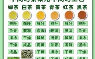 梅氏茶叶非物质文化遗产（梅氏茶叶非遗手工制茶流程步骤）