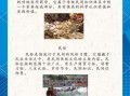非物质文化遗产术语表述（“非物质文化遗产”一词如何规范化表述）