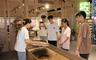 非物质文化遗产挡路（非遗项目挡路怎么办：小白三步化解矛盾）