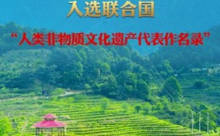 漳平非物质文化遗产名录（漳平非遗名录有哪些）