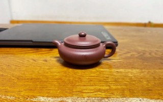 宜兴非物质文化遗产（宜兴紫砂壶制作技艺入门教程）