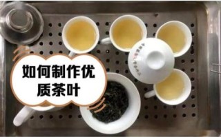 泉州非物质文化遗产茶（泉州非遗茶有哪些值得新手入门？）
