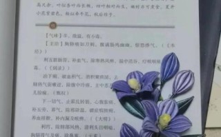 本草非物质文化遗产（本草非物质文化遗产有哪些项目）