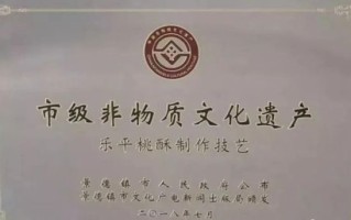 乐平陈酿非物质文化遗产（乐平陈酿非遗酿造工艺适合初学者吗）