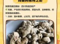 河南姜非物质文化遗产（河南姜传统制作技艺是不是非遗？）