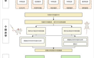 量子计算机的技术路线（量子计算机五大主流技术路线图）