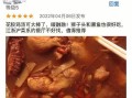 熏鱼非物质文化遗产（熏鱼非遗技艺传承流程指南）