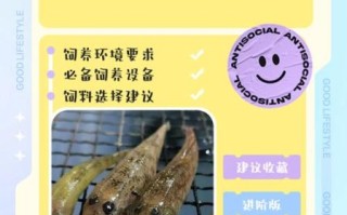 非物质文化遗产弹涂鱼（弹涂鱼怎么养殖？新手也能成功的全流程）